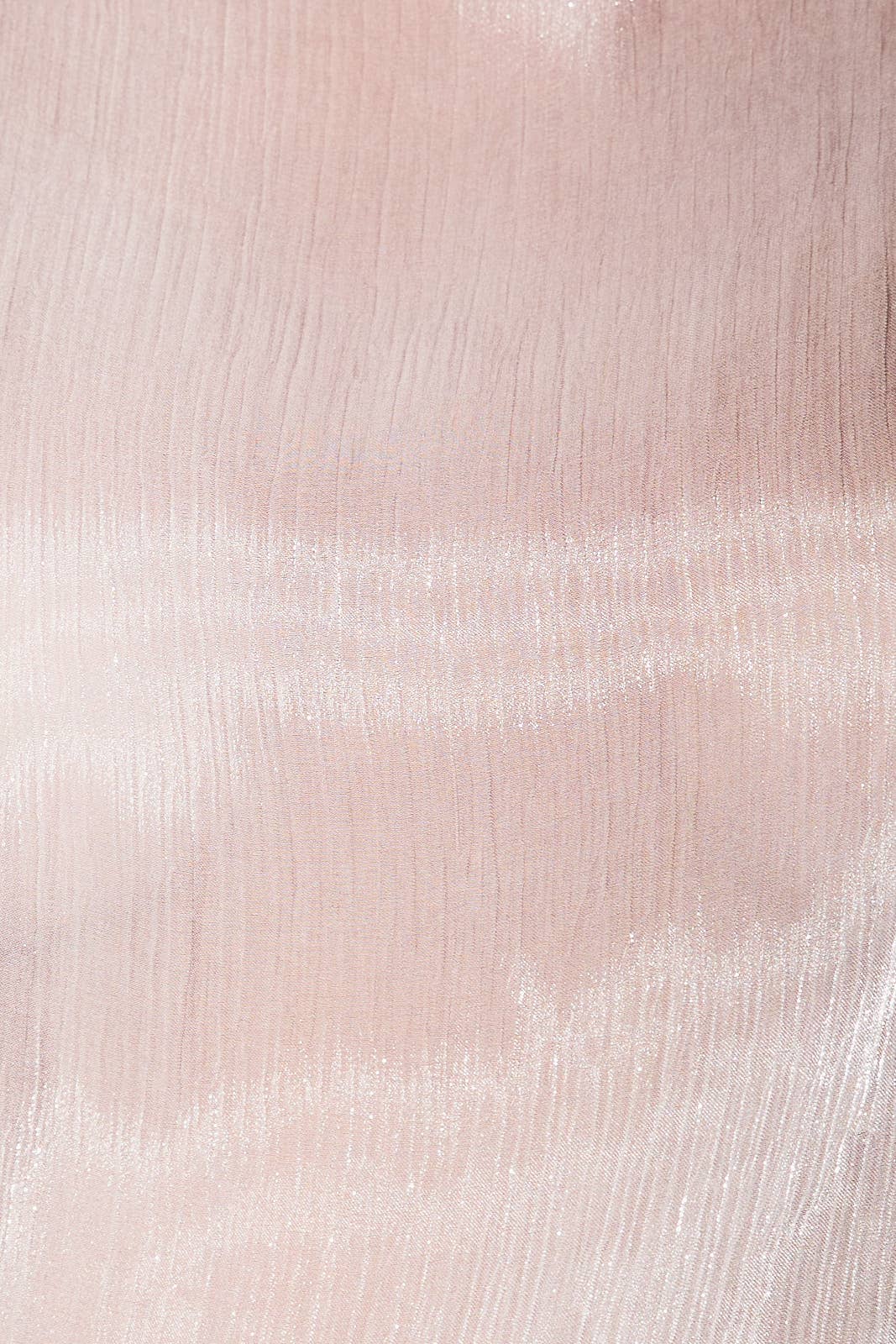 Tinsel Mock Neck Blouse